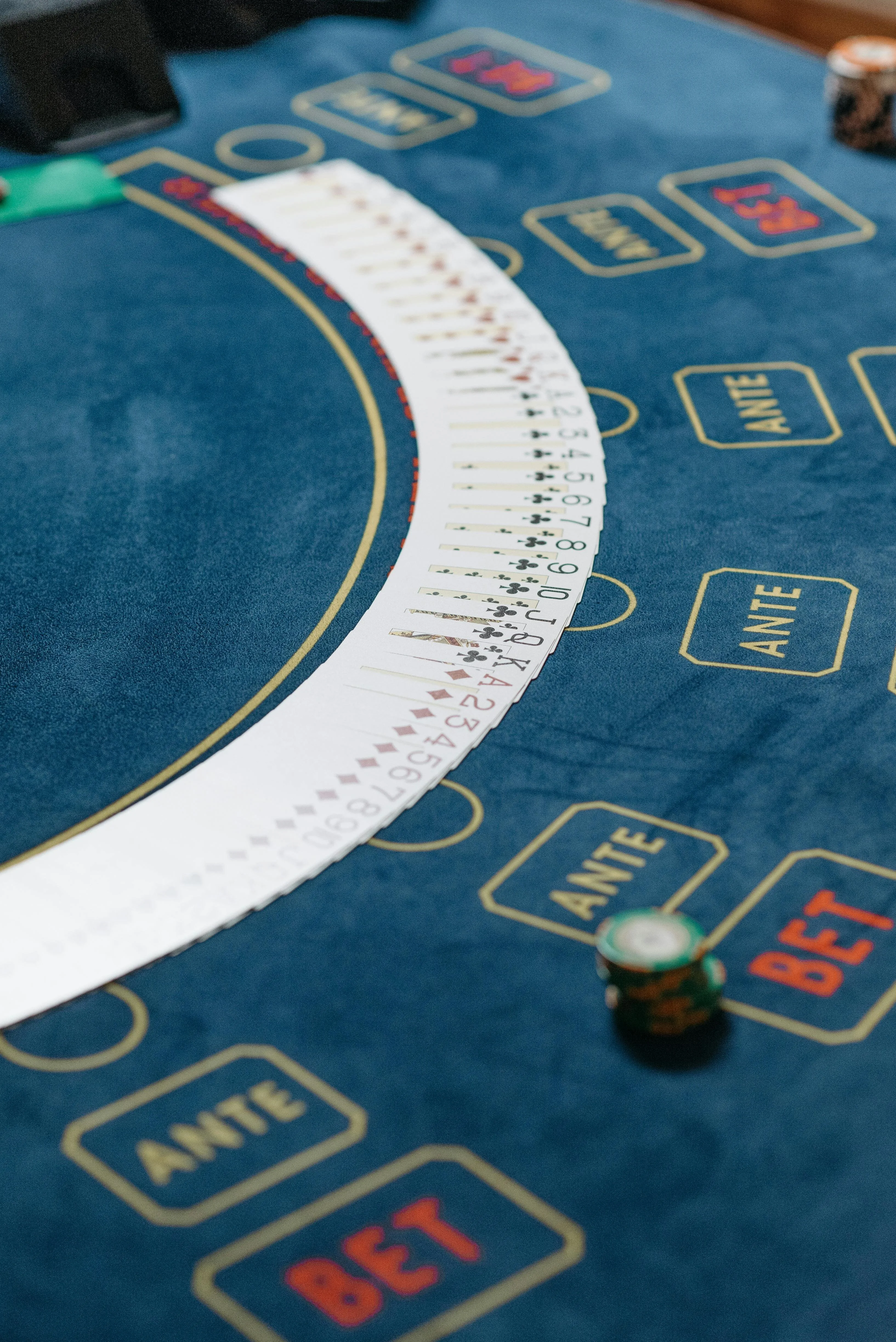 555pkr Live Baccarat Bonanza